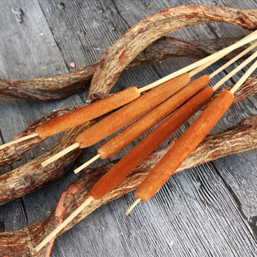 Hot-selling Real Broadleaf Pencil Cattail Stems Bundles Assorted Cattails for Modern Boho Decor Home Decorflower Arrangements