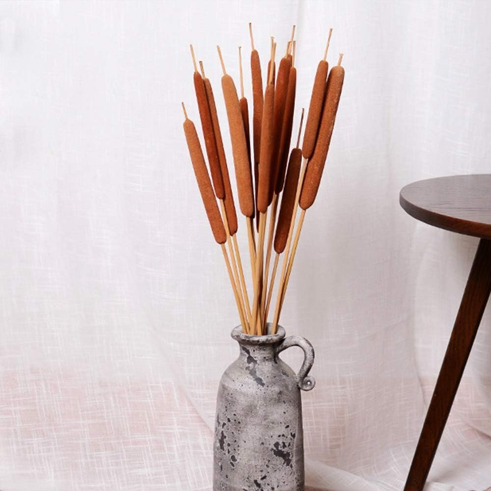 Hot-selling Real Broadleaf Pencil Cattail Stems Bundles Assorted Cattails for Modern Boho Decor Home Decorflower Arrangements