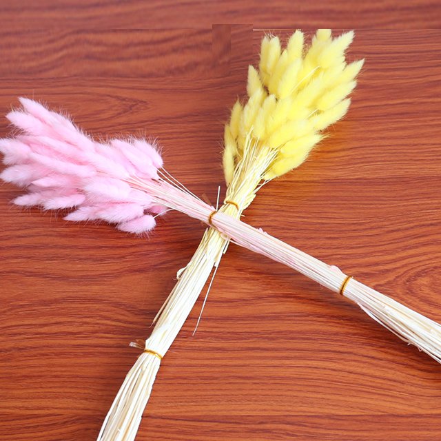 wholesale natural dried flower customized packaging small pampas grass bunny tail for decorative wedding home