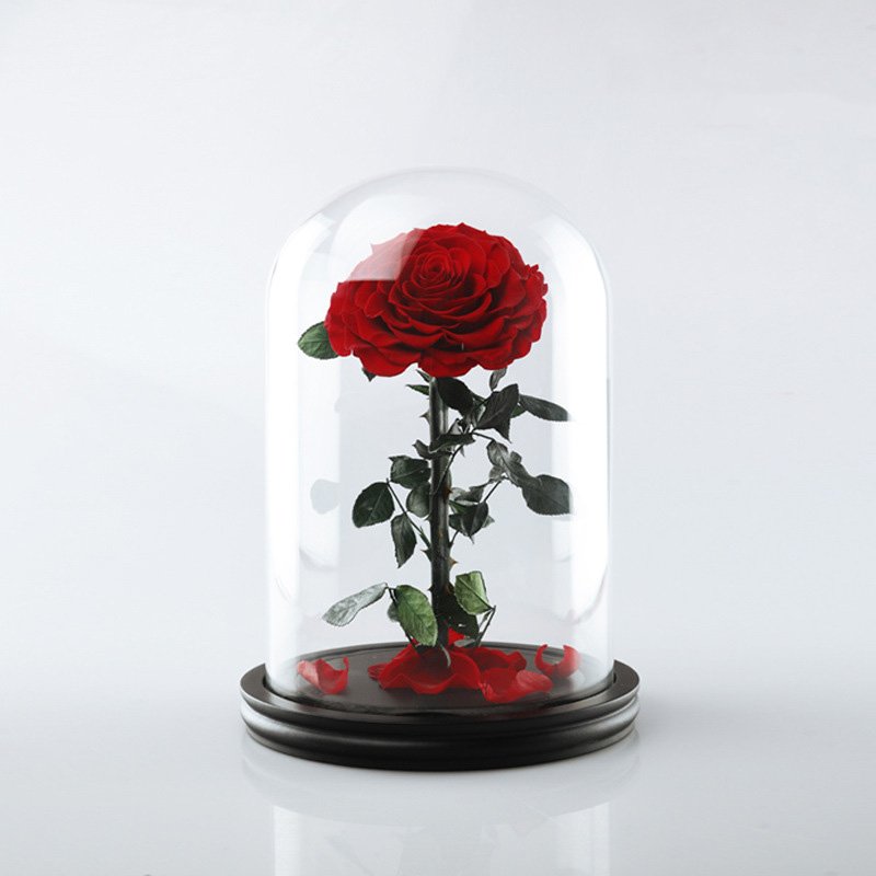 Wholesale Preserved Roses a Grade Glass Flowers with Gift Box for Valentine's Day Gifts Box Mother's Day Valentines Day 2pcs