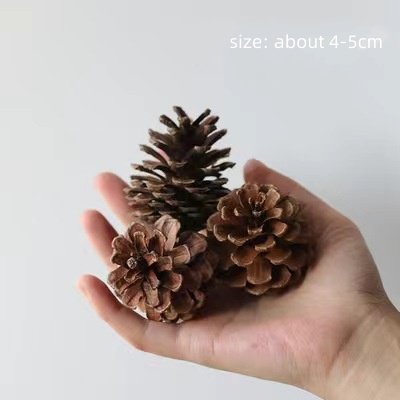 MNP2405 Dried flower cinnamon stick lemon slice dried flower air-dried pine nut mix dry flower aromatic DIY material package