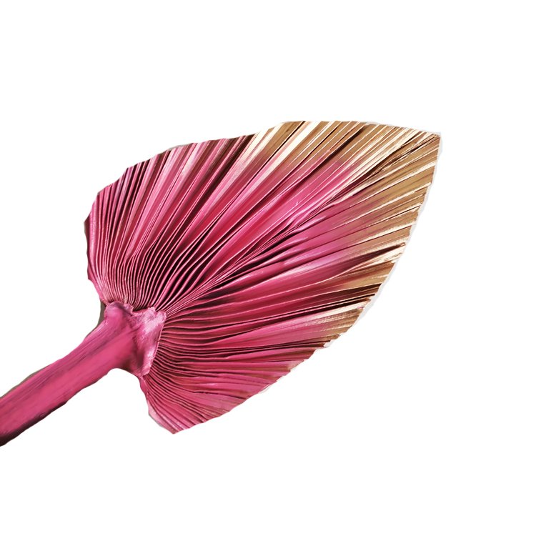 Factory Supplies popular Natural Real Dried Palm Leaves Decoration OEM available 15cm width paint palm leaves