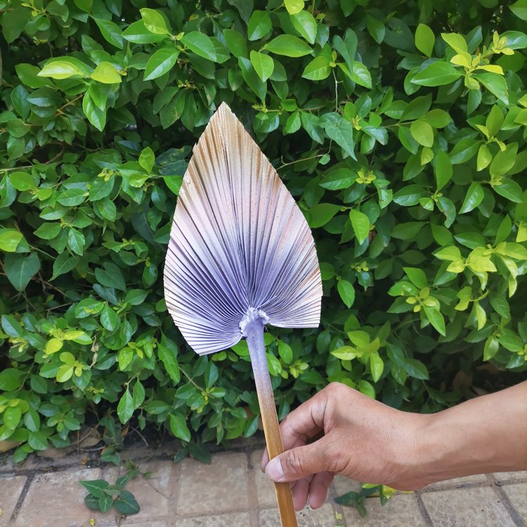 Factory Supplies popular Natural Real Dried Palm Leaves Decoration OEM available 15cm width paint palm leaves