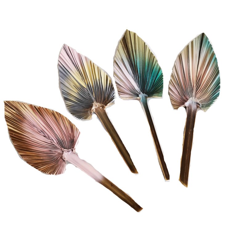 Factory Supplies popular Natural Real Dried Palm Leaves Decoration OEM available 15cm width paint palm leaves
