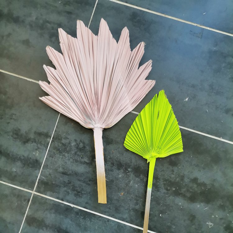Factory Supplies popular Natural Real Dried Palm Leaves Decoration OEM available 15cm width paint palm leaves