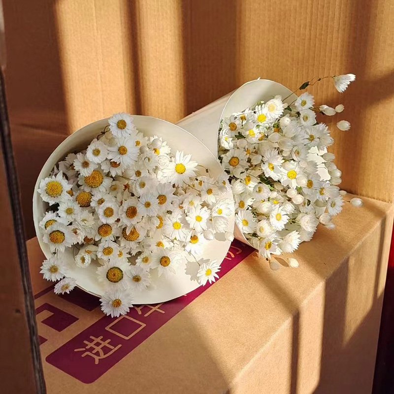 Yunnan Wholesale Dried Flowers Bouquet Pink White Rhodanthe Chrysanthemums Ludanniao Daisy Flower Dried Rhodanthe