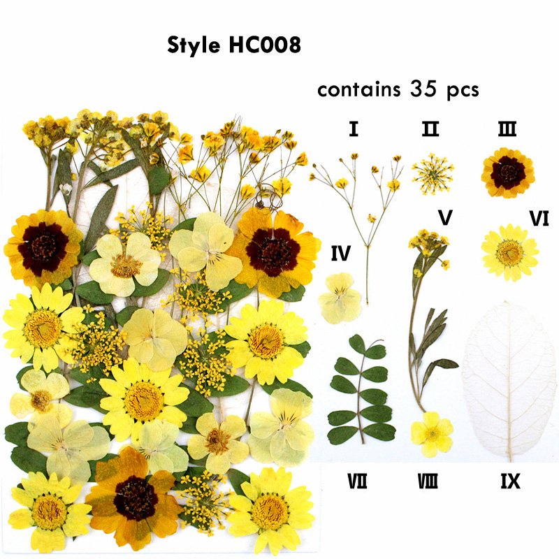 JHP-HC005 Factory Supply Diy Mixed Dry Pressed Dried Grass Flower For Crafts Art Natural Real Dried Pressed Flowers