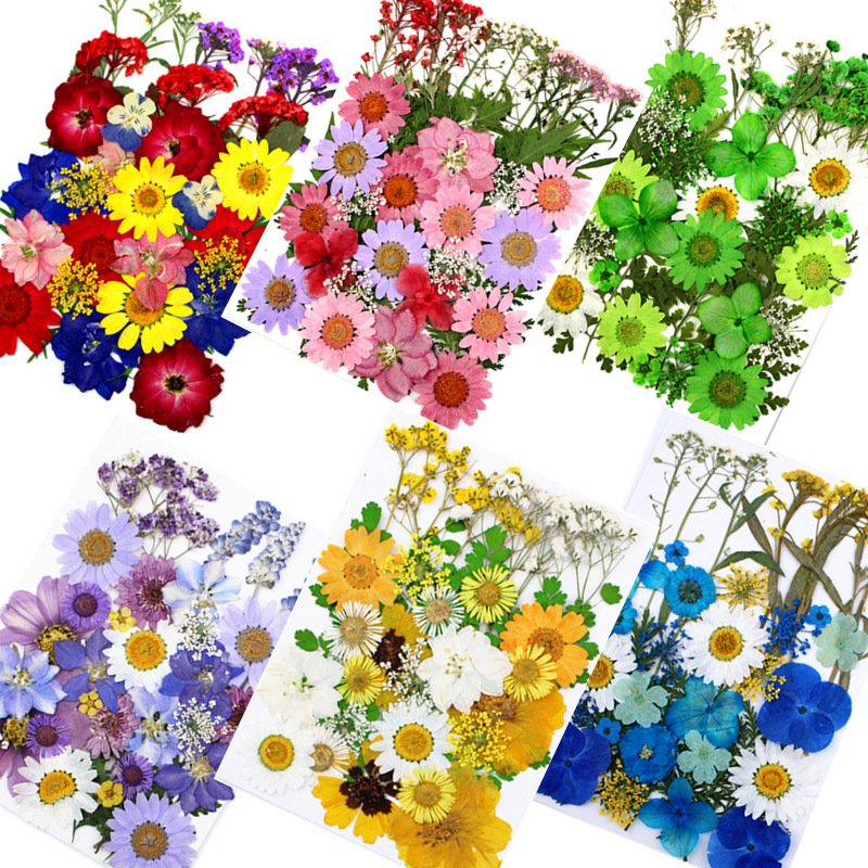 JHP-HC005 Factory Supply Diy Mixed Dry Pressed Dried Grass Flower For Crafts Art Natural Real Dried Pressed Flowers