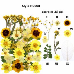 HC008