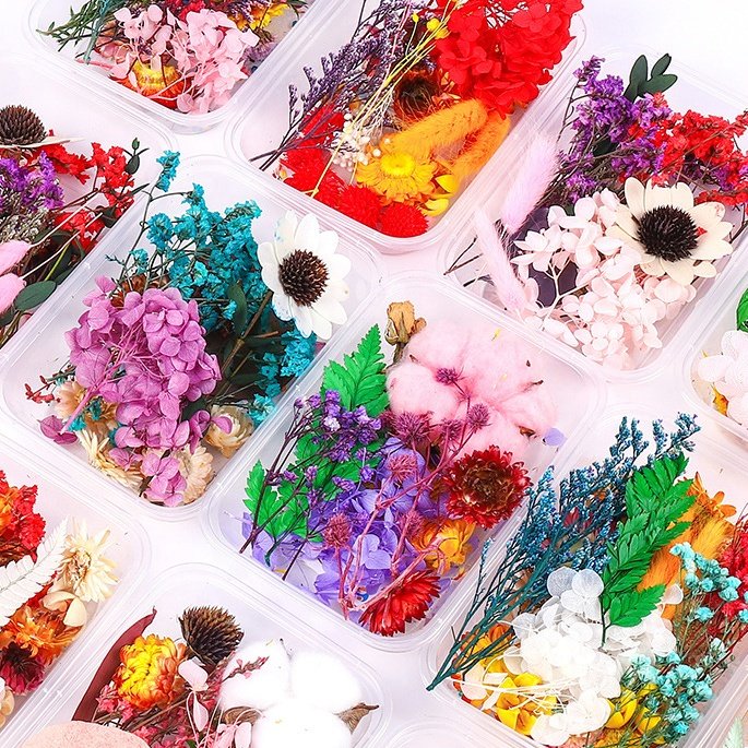 Natural Dry Flowers Dried Flowers and Plants for Resin Crafts Candle Making