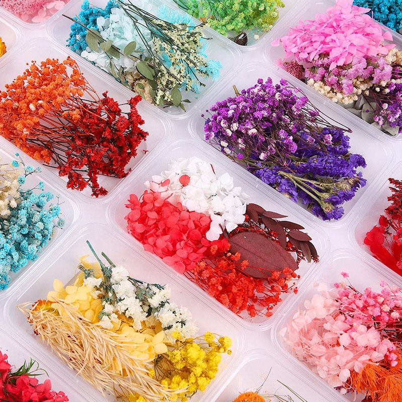 Natural Dry Flowers Dried Flowers and Plants for Resin Crafts Candle Making
