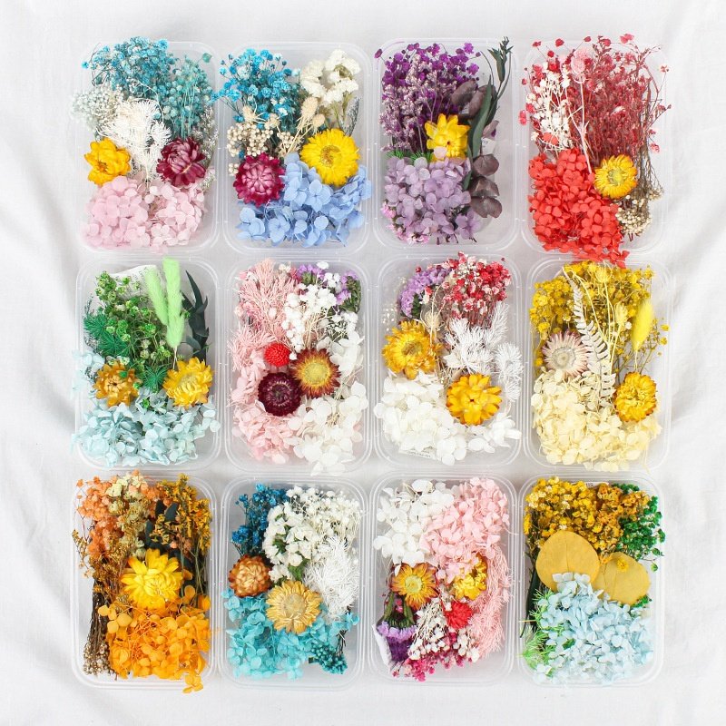 Natural Dry Flowers Dried Flowers and Plants for Resin Crafts Candle Making