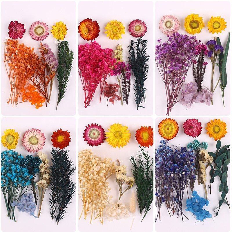 Natural Dry Flowers Dried Flowers and Plants for Resin Crafts Candle Making