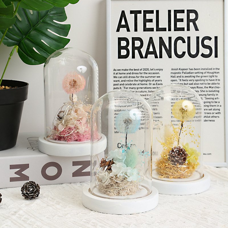 Sweetie Summer Gift Dried Dandelion Ball Preserved In Glass With Everlasting Rose Flower Preserved