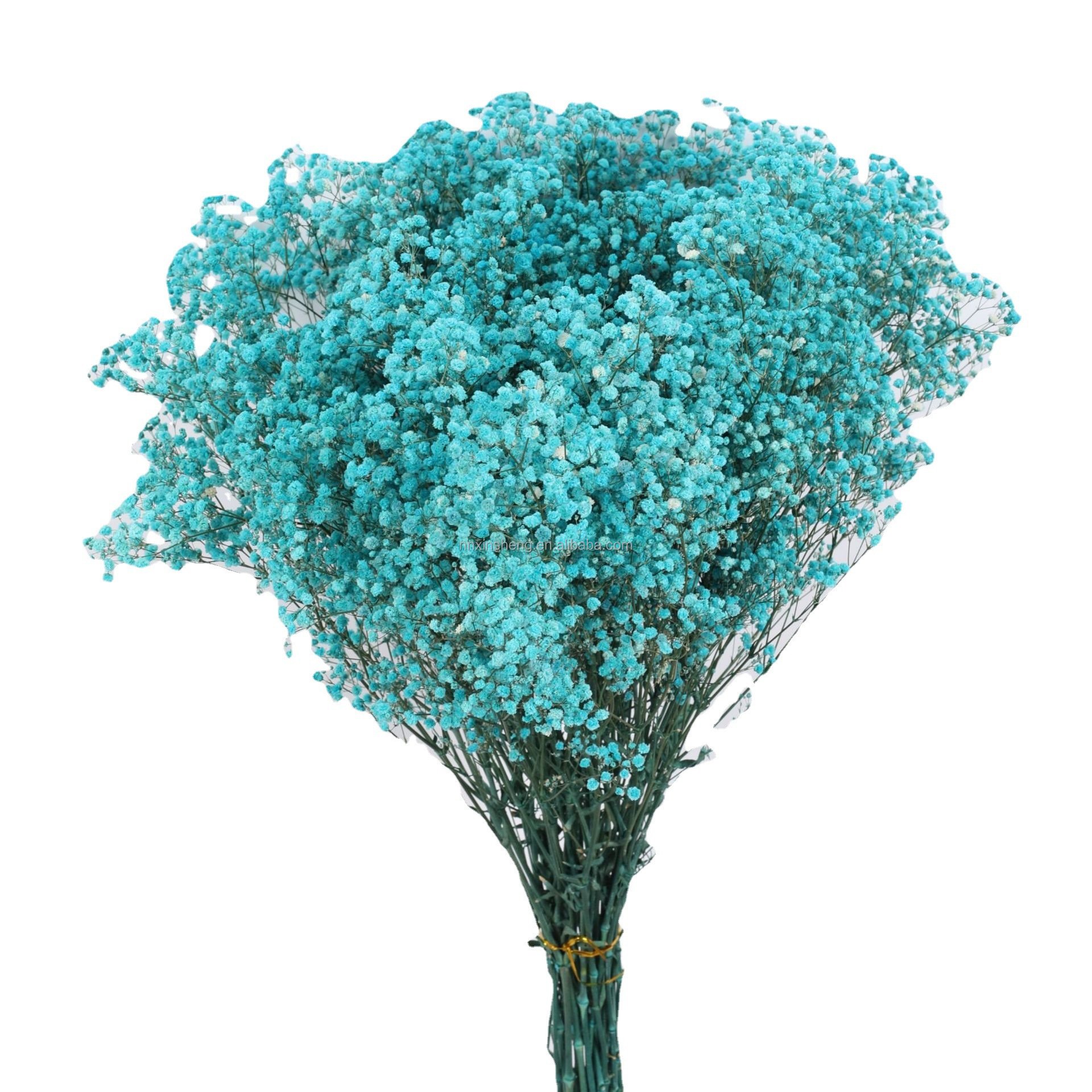high quality babysbreath natural real dried flowers and plants gypsophila flower home decorative vase flower dried gypsophila