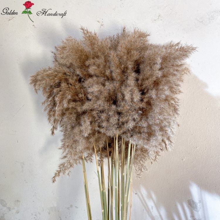 QSLH-635 Natural Pampas Decorative Flower Boho Dried Flower Bouquet Wedding Bouquet Fluffy Pampas Dried Flowers For Home Event