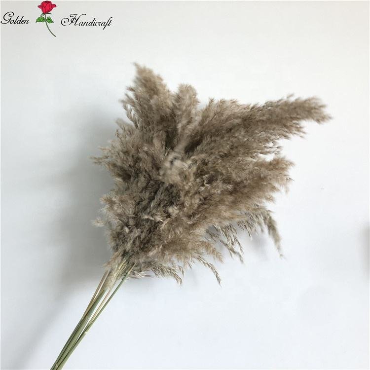 QSLH-635 Natural Pampas Decorative Flower Boho Dried Flower Bouquet Wedding Bouquet Fluffy Pampas Dried Flowers For Home Event