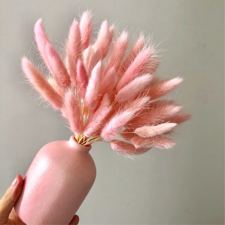 SumFlora decorating trends flower mini bouquet perfect gift set dried flowers lagurus