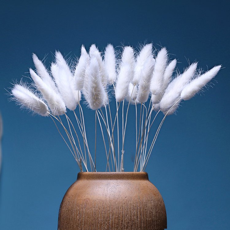 SumFlora decorating trends flower mini bouquet perfect gift set dried flowers lagurus