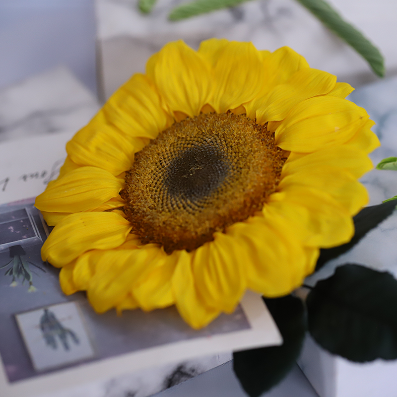 Yunnan Factory Supplier Preserved Sunflower Dried Flowers Preservative Solution Flowers Preserved Flowers Gift For Woman