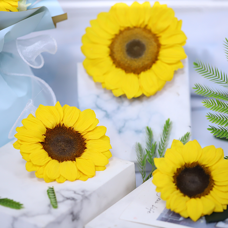 Yunnan Factory Supplier Preserved Sunflower Dried Flowers Preservative Solution Flowers Preserved Flowers Gift For Woman