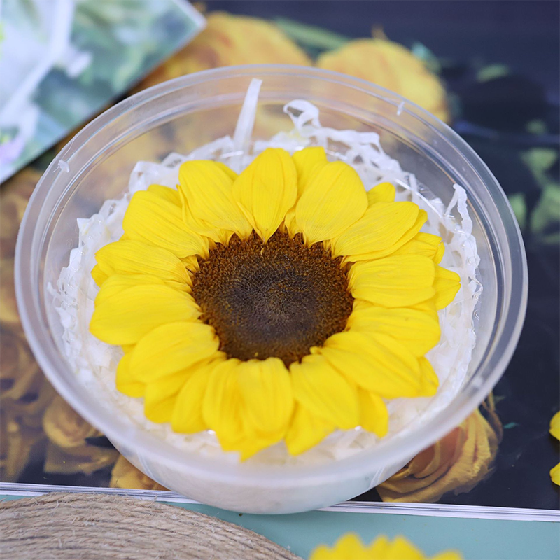 Yunnan Factory Supplier Preserved Sunflower Dried Flowers Preservative Solution Flowers Preserved Flowers Gift For Woman