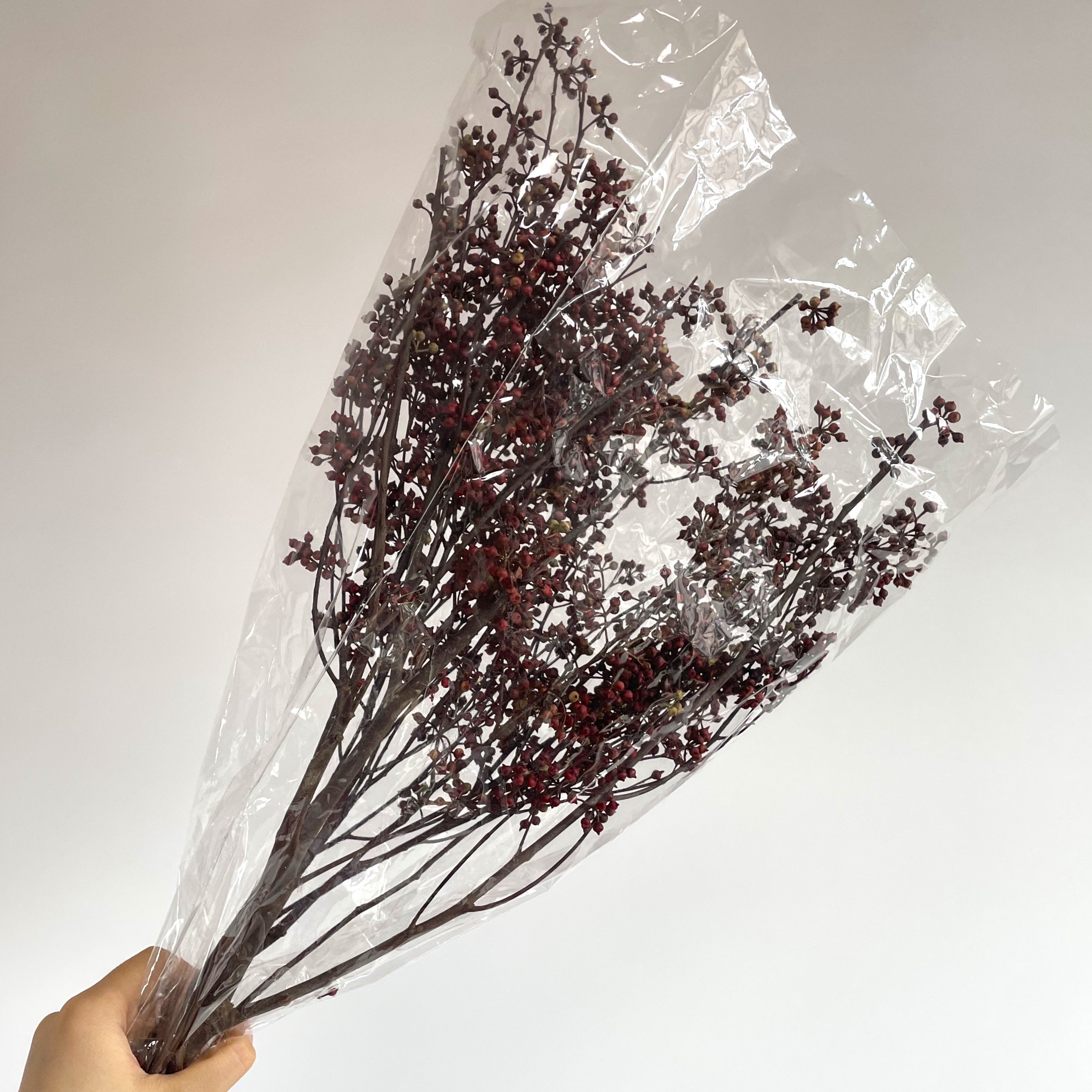Home Decoration Real Preserved Plants Dried Eucalyptus Leaf Preserved Eucalyptus Millet Mini Fruit