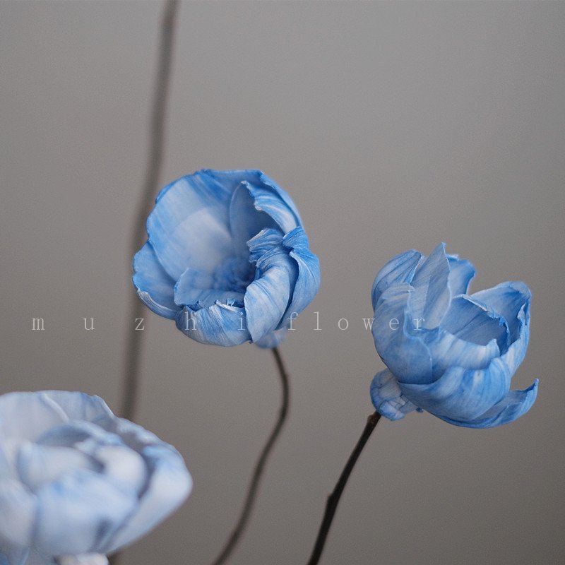 High Quality hand made Sola Flower bulk Peony Flower Single Piece dried flowers for Home/Wedding Wall Decoration