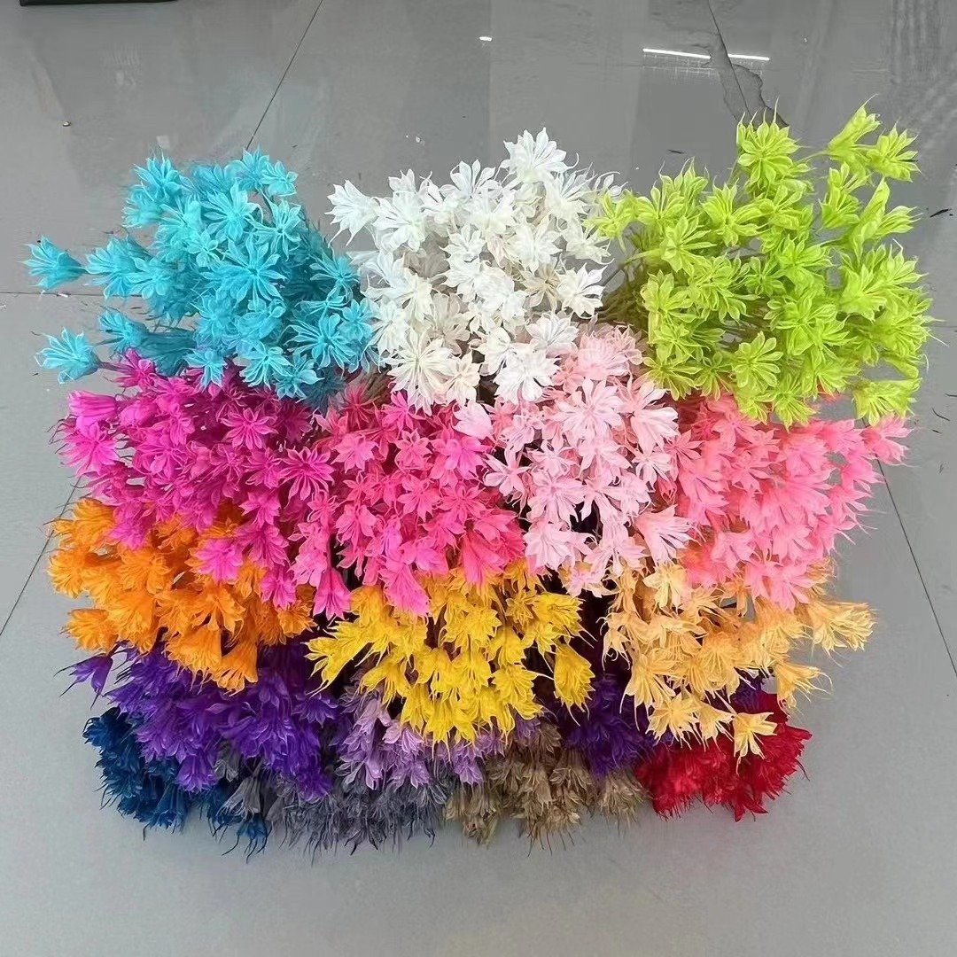 Dried Nigella orientalis Diy Bouquet Material Large Octagonal Ceramic Flower Pot Preserved Flower Dried Octagon Flower