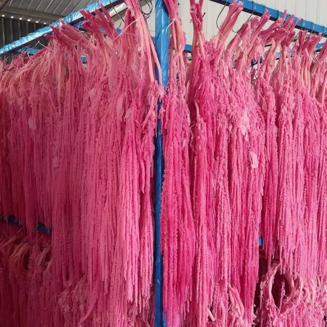 5pcs RTS Wholesale Preserved Flower Long Hanging Amaranthus Caudatus Preserved Lovers Tear Flowers Wedding Decoration