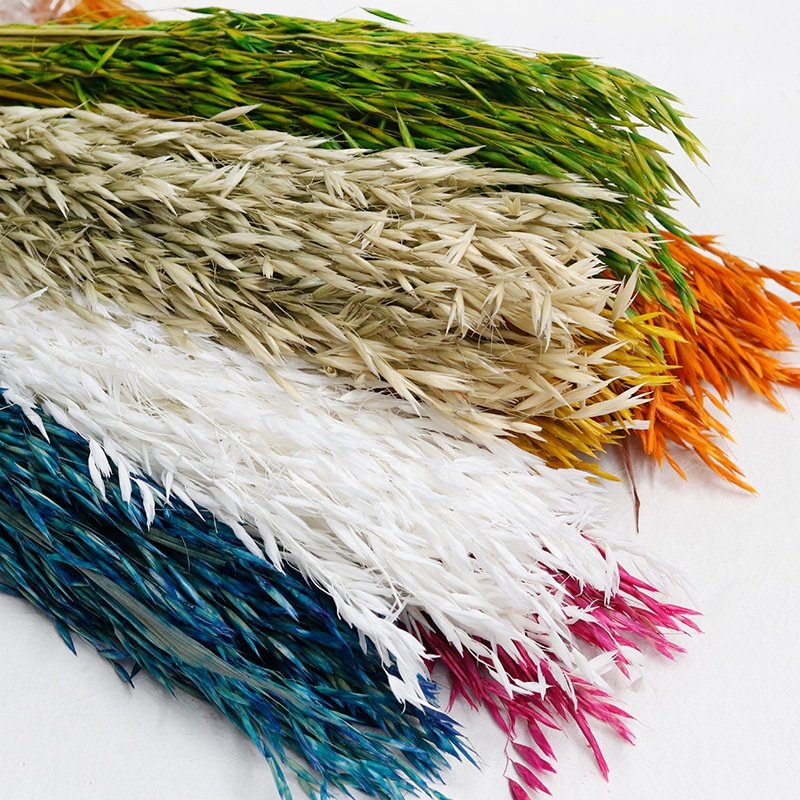 Hot Sell Home Wedding Decoration Wild Dried Wheat Dried Oats Flower for Australia Floral Design