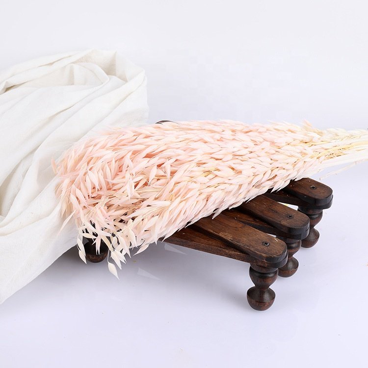 Hot Sell Home Wedding Decoration Wild Dried Wheat Dried Oats Flower for Australia Floral Design