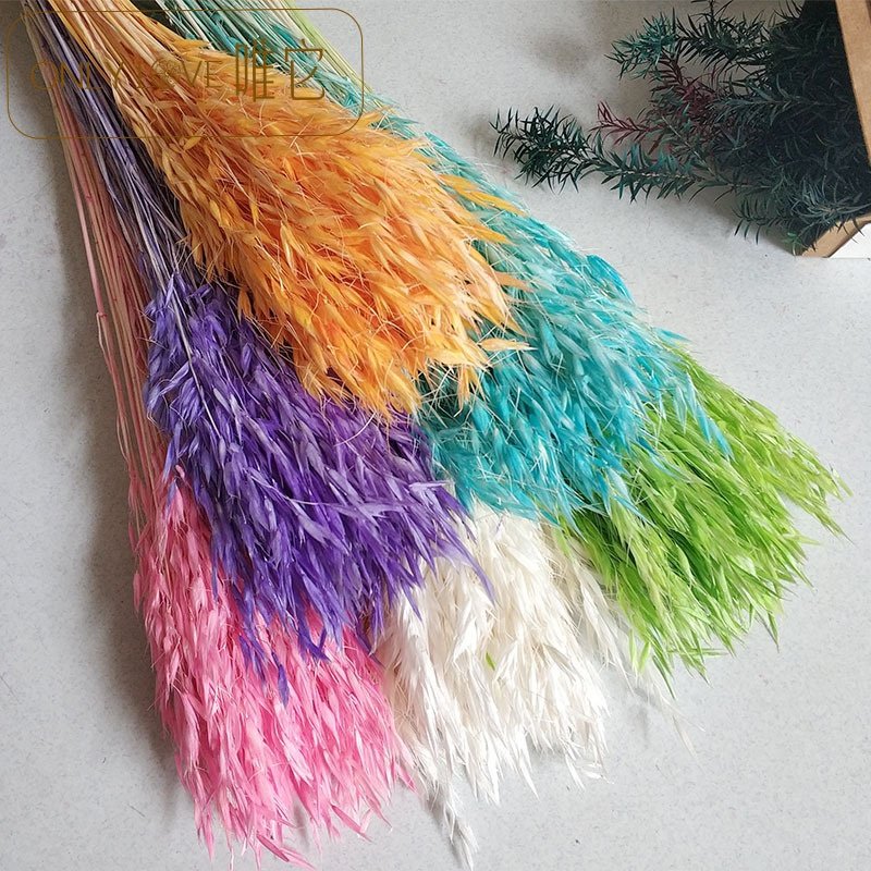 Hot Sell Home Wedding Decoration Wild Dried Wheat Dried Oats Flower for Australia Floral Design