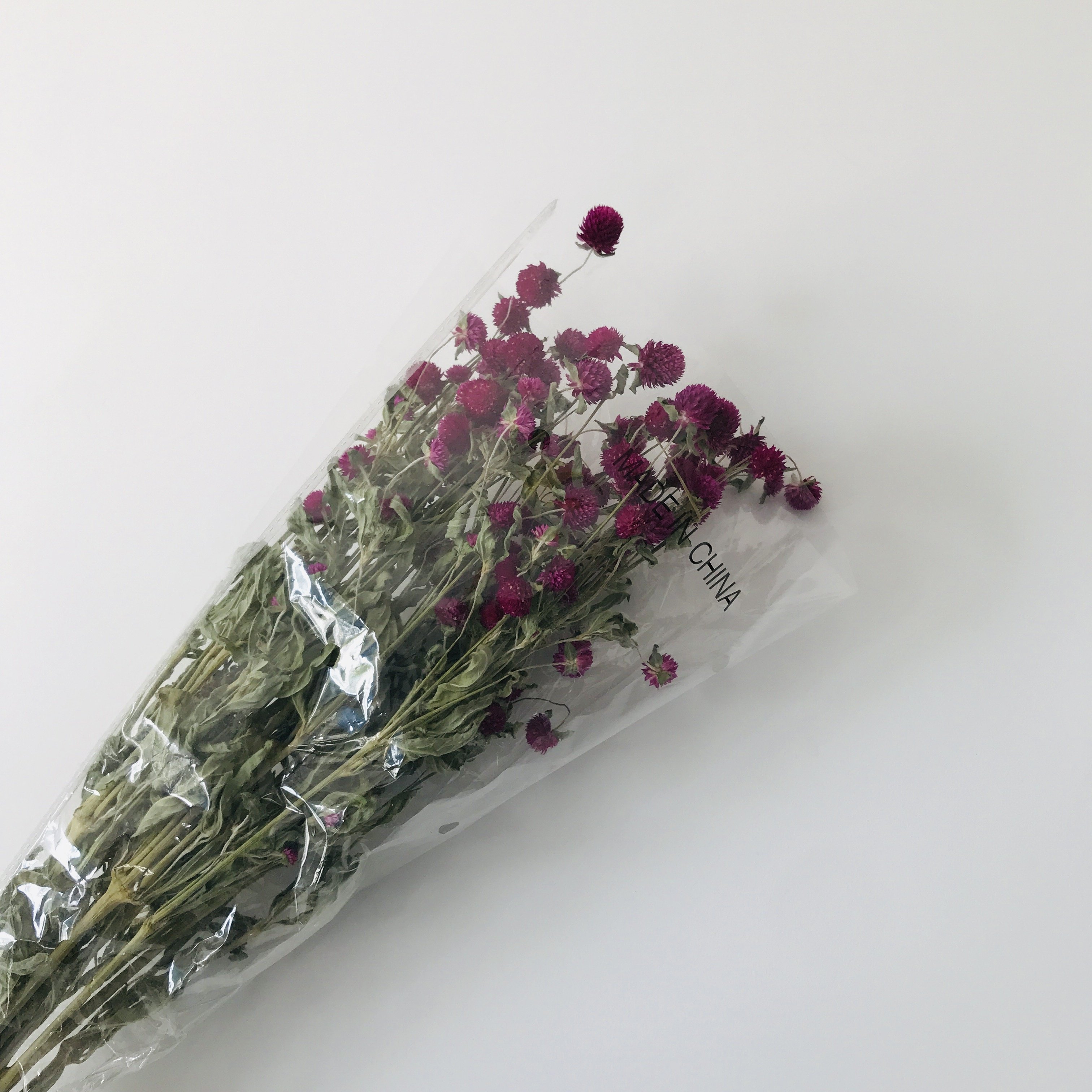 Dried Flowers Plants Home Decoration Dry Gomphrena flower Globe Amaranth Gomphrena Globosa For Craft Supply Home Wedding Decor