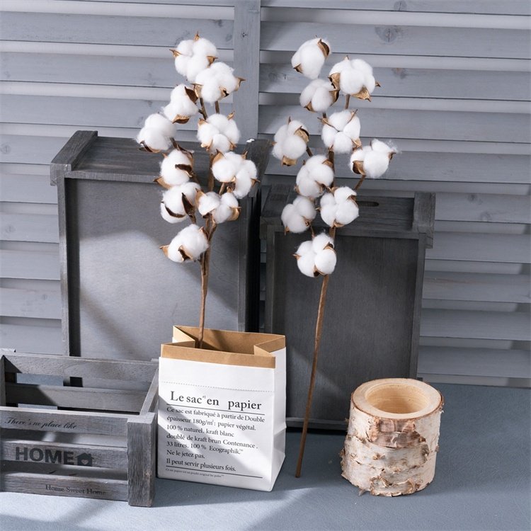 Hot Sale 10 Heads Natural Dried White Cotton Branches Flowers Floral Stems For Vase Home Wedding Decor