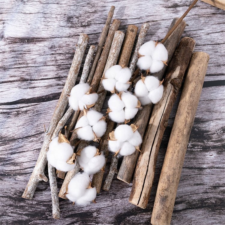 Hot Sale 10 Heads Natural Dried White Cotton Branches Flowers Floral Stems For Vase Home Wedding Decor