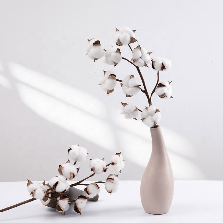 Hot Sale 10 Heads Natural Dried White Cotton Branches Flowers Floral Stems For Vase Home Wedding Decor