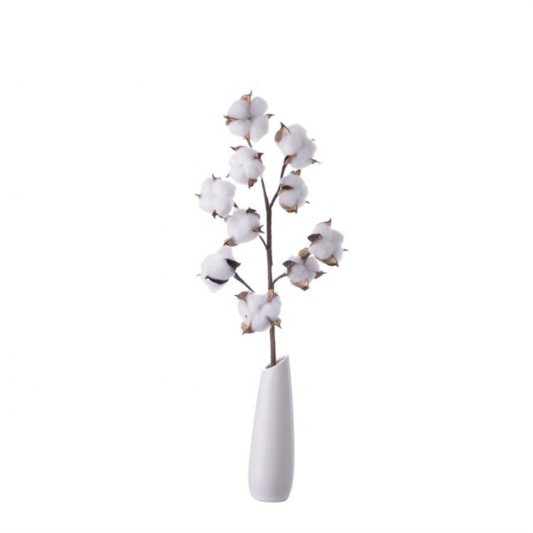 Hot Sale 10 Heads Natural Dried White Cotton Branches Flowers Floral Stems For Vase Home Wedding Decor