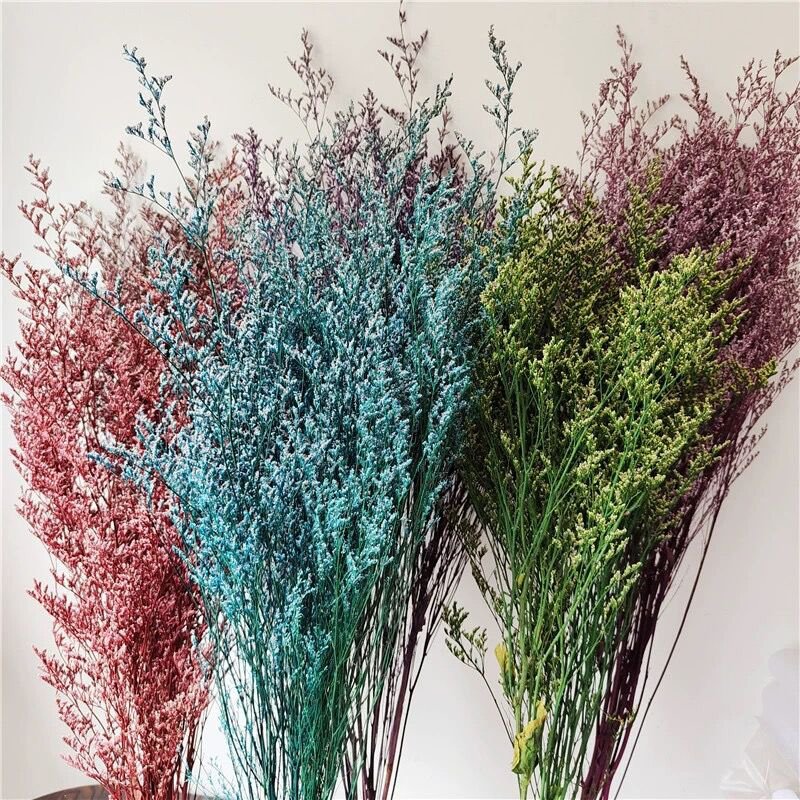 Low Price Natural Caspia Flower Preserved limonium For Dried Flower Bouquet