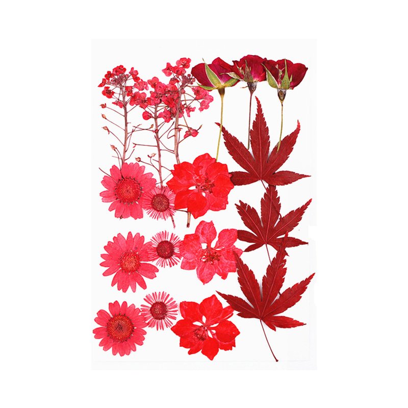 Wholesale Dried Pressed Flowers Tiny Pressed Flowers Pressed Flower For Candle