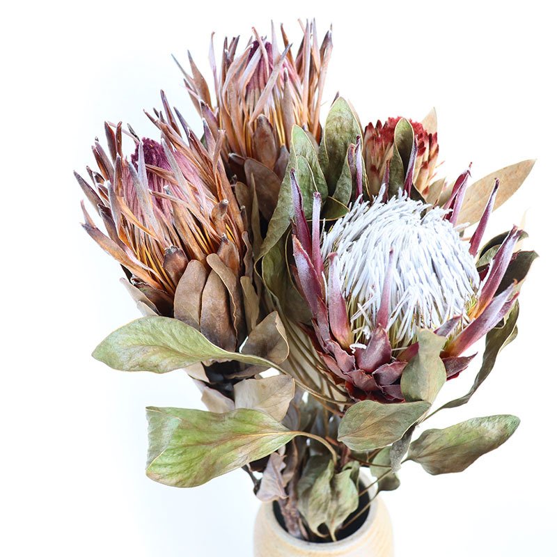 N-055 preserved protea dried flower Luxury king princess protea cynaroides dried banksia flower for home vase decor