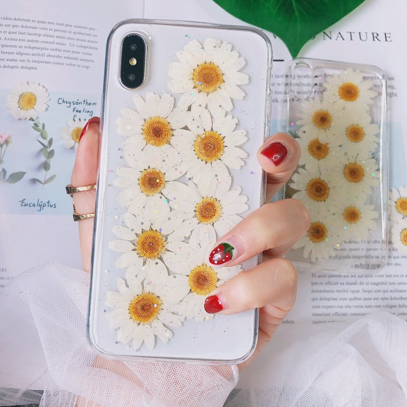 Factory Supplied Real Dried Pressed Flower Color-dyed Pressed Daisy Dried Flowers