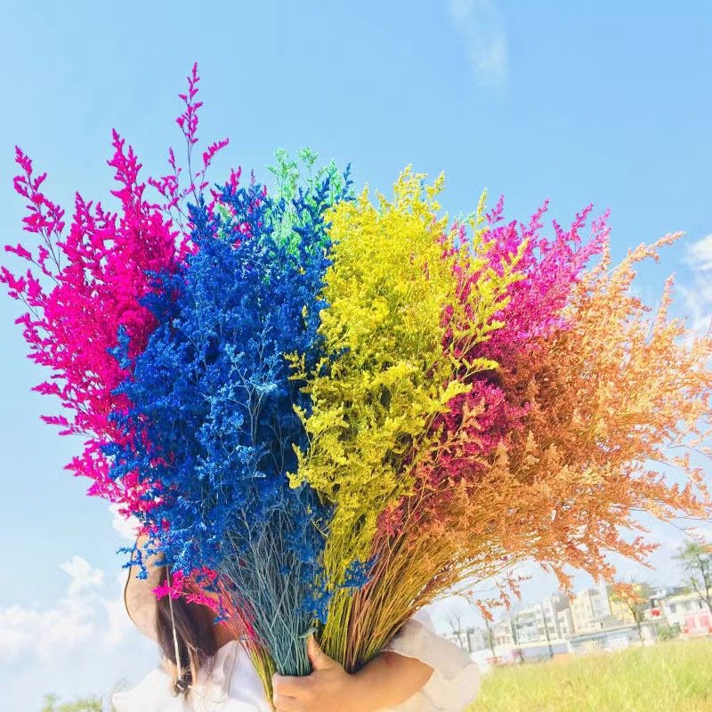 Factory Preserved Flowers Limonium Flower Lover Grass Preserved Valentines Lover Grass for Home Decor Wedding Decoration