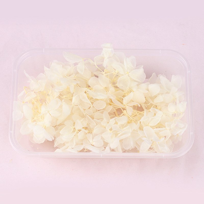 Wholesale high-class preserved flowers box dried hydrangea flowers petals box DIY scented gifts flower accessories
