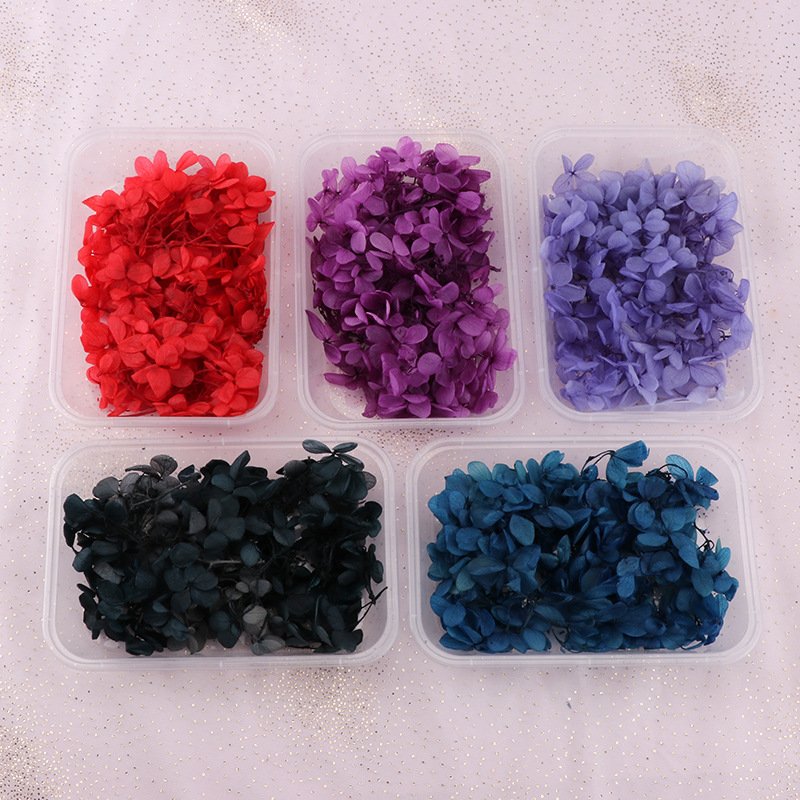 Wholesale high-class preserved flowers box dried hydrangea flowers petals box DIY scented gifts flower accessories