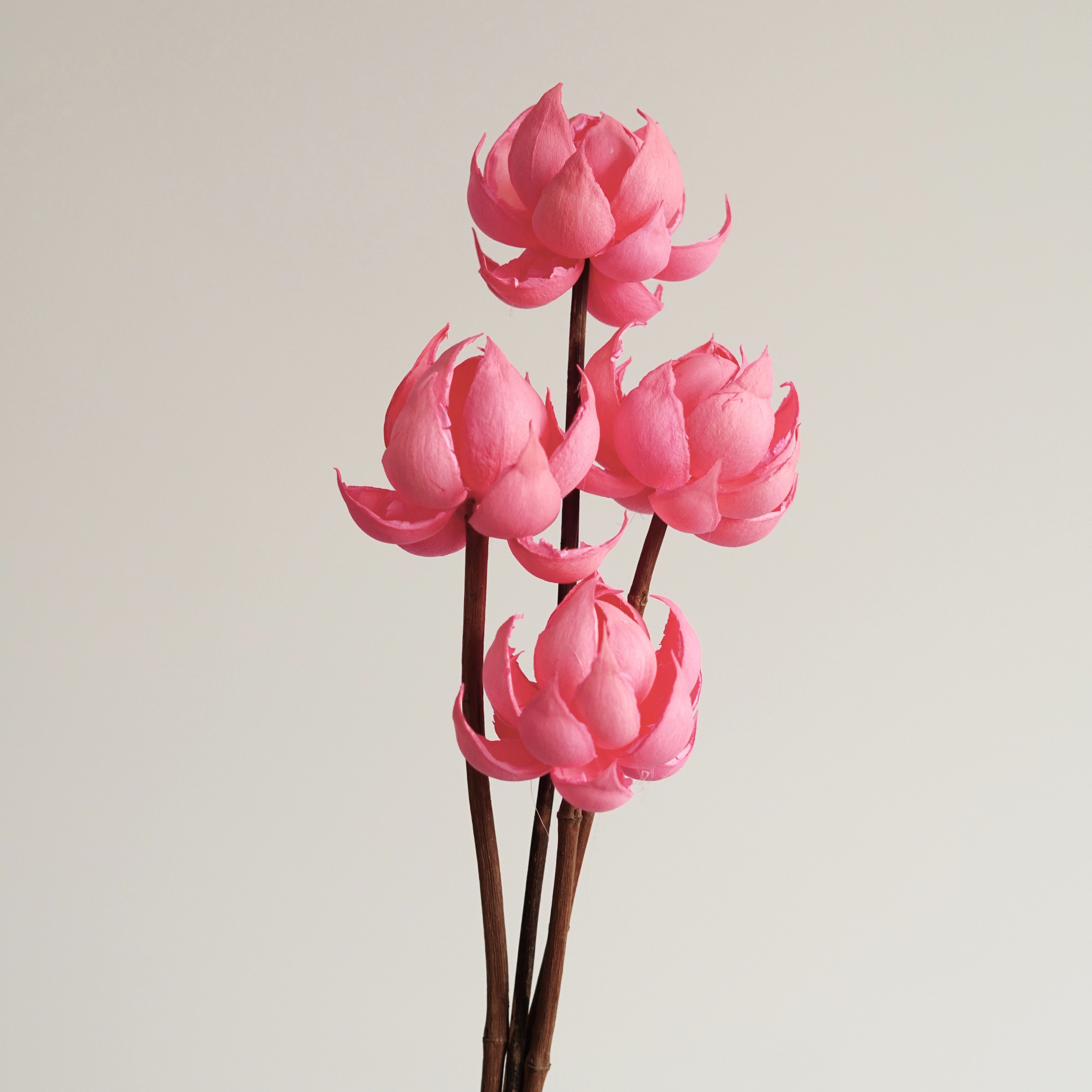 Handmade natural dried flowers home decor with Artificial Husk Flowers,Flower Arrangement