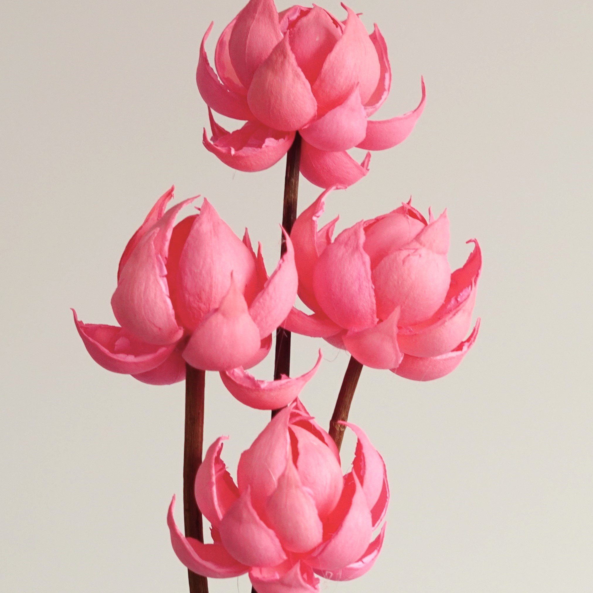 Handmade natural dried flowers home decor with Artificial Husk Flowers,Flower Arrangement