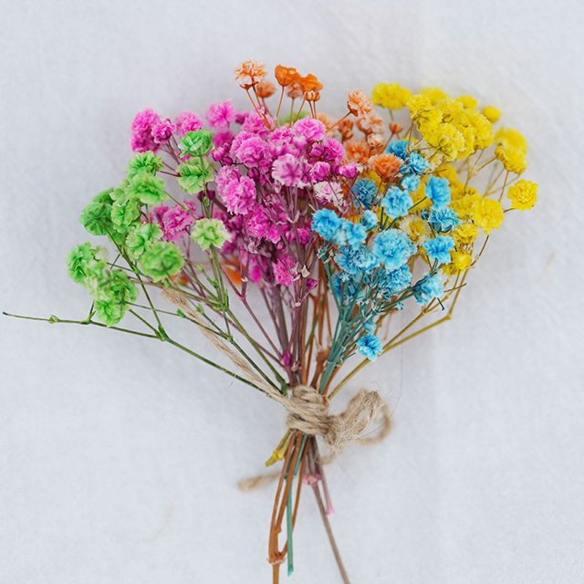 Dried Flower MixedSmall Daisy Chrysanthemum Chamomile Rodanth Flower