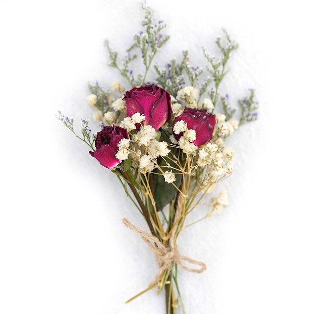 Dried Flower MixedSmall Daisy Chrysanthemum Chamomile Rodanth Flower