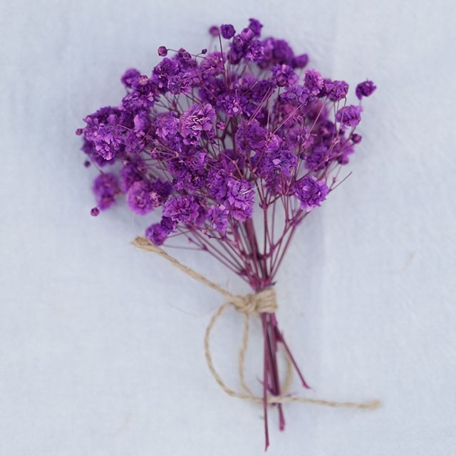 Dried Flower MixedSmall Daisy Chrysanthemum Chamomile Rodanth Flower